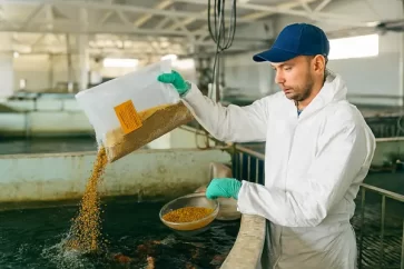 Feed Additives Sales 2